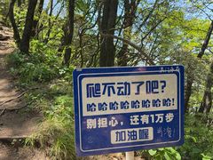 -罗田薄刀峰风景区