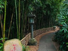 -广州兰圃