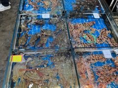 -船奇蒸汽海鲜·闽菜(八市海鲜总店)