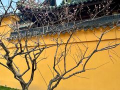 -无锡梅园公园