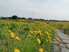 -苏州湾体育公园