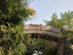 -菊花台公园