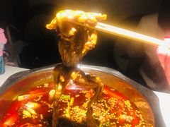 -宽口美蛙鱼头(大唐西市店)