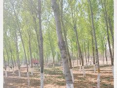 -东郊湿地公园