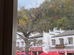 -千年银杏谷文化旅游区
