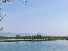 -野鸭湖国家湿地公园