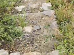 -终南山国家森林公园