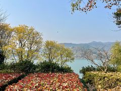 -滨江生态公园