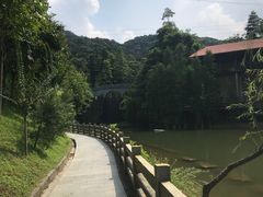 -广州市帽峰山景区