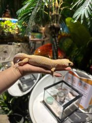 -酷嗒动物文化乐园(cutezoo西溪乐天城店)