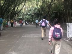 -滴水岩森林公园