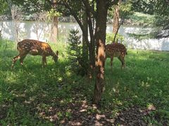 -观唐（国际）度假村温泉