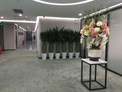 点击看大图 -北京炫美医疗美容