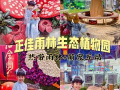-正佳雨林生态植物园