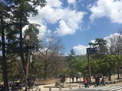 -奈良公园