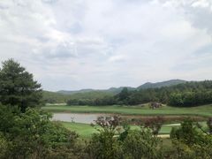 -阳光高尔夫俱乐部