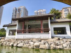 -团结湖公园