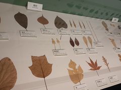 -四川大学(望江校区)
