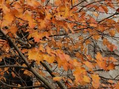 -天津东丽湖风景区