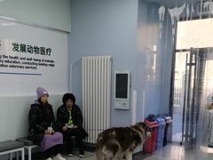 -中国农业大学动物医院