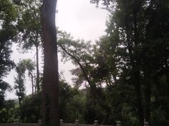 -莲花山公园