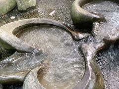 -成都市活水公园