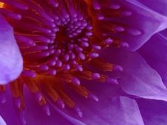 -星巴克(深圳侨城街店)