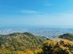 -神户市立六甲山牧场