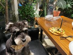 -百好乐宠物友好餐厅(朝外大街店)