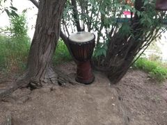 -二一九公园