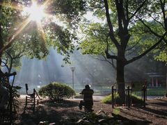 -上海共青森林公园