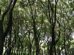-荆川公园