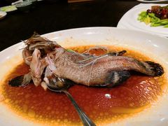 清蒸石斑鱼-长春凯悦酒店-品悦中餐厅