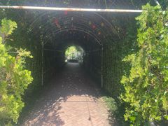 -Ohkajhu Organic Farm Sansai