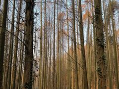 -山王坪喀斯特国家生态公园
