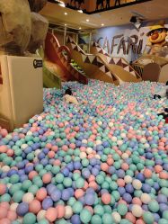 -卡通尼·Safari非洲探索乐园·生日会(金桥国际商业广场店)