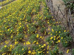 -香山公园-东宫门售票处