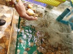 -拉威海鲜市场