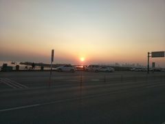 -合肥滨湖国家森林公园