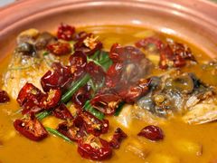 段氏绝味鱼头-柿合缘新京菜(国金中心商场店)