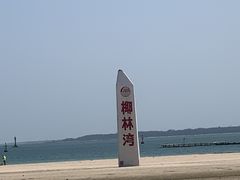 -东郊椰林