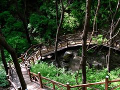 -大岭沟猕猴桃谷风景区
