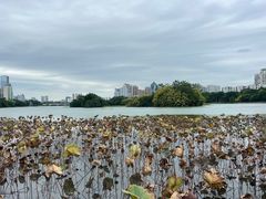 -南宁南湖公园