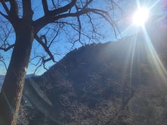 -北京鹫峰国家森林公园