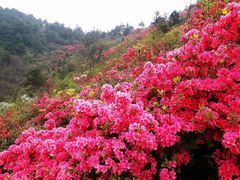 -木兰云雾山
