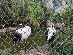 -石家庄市动物园