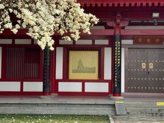 -大慈恩寺(大雁塔)