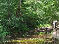 -玉渡山自然风景区