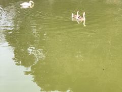 -合肥野生动物园