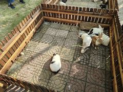 -浙江农林大学(东湖校区)